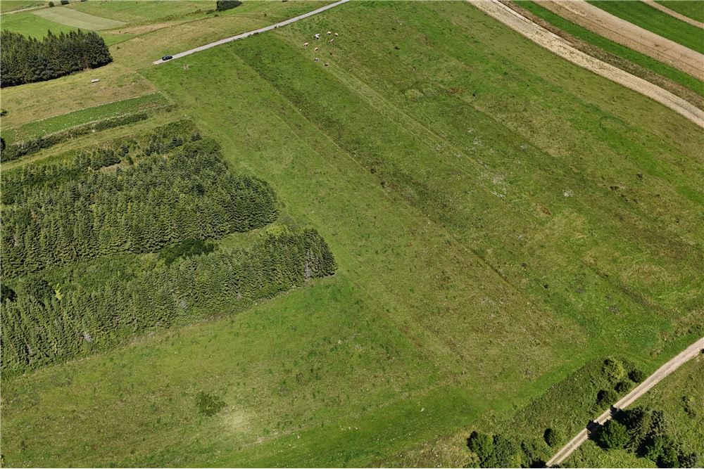 Działka budowlana - Sprzedaż - Dursztyn, Polska - 10 - 800091040-93