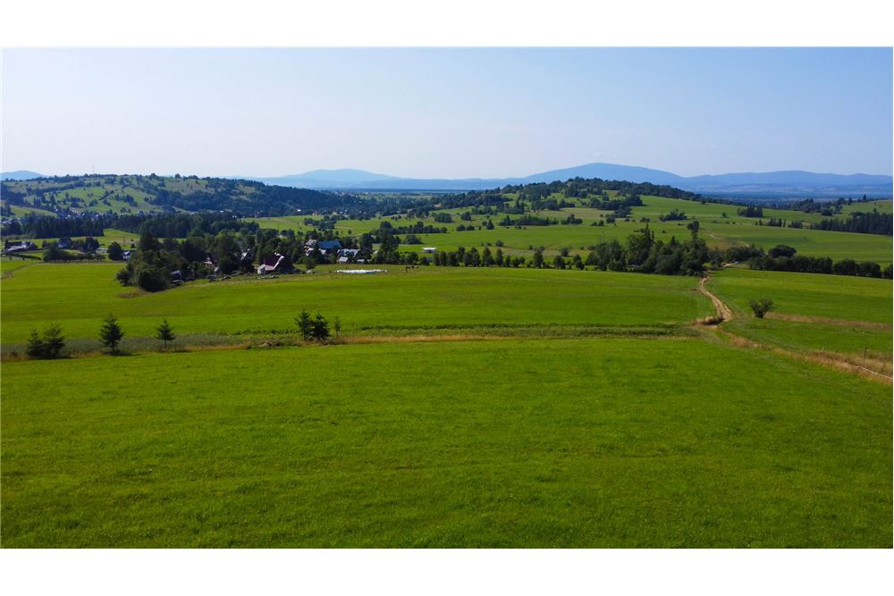 Nieruchomość gruntowa - Sprzedaż - Dzianisz, Polska - 23 - 800061116-24