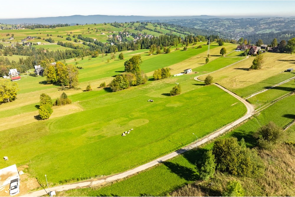 Działka budowlana - Sprzedaż - Ząb, Polska - 20251004-DJI_0857-HDR.jpg - 470151035-148
