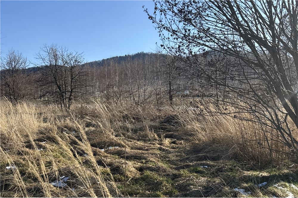 Działka - Sprzedaż - Chocznia, Polska - 10 - 800061100-79