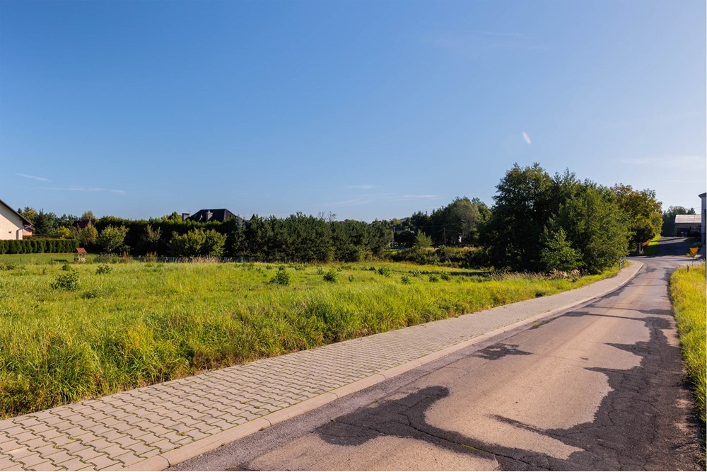 Działka - Sprzedaż - Roczyny, Polska - roczyny-13 (3).jpg - 800061107-109