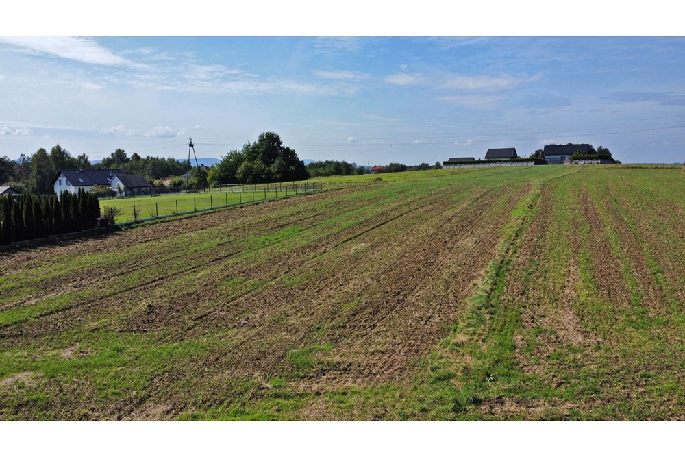 Działka budowlana - Sprzedaż - Frydrychowice, Polska - 14.jpg - 800061039-518