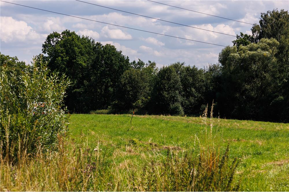 Działka budowlana - Sprzedaż - Zarzecze, Polska - 12 - 800061107-103