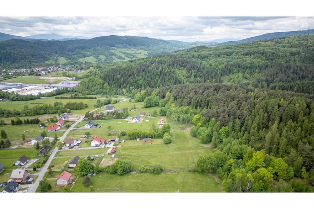 Działka - Sprzedaż - Krzeszów, Polska - DJI_0387.jpg - 470131112-7