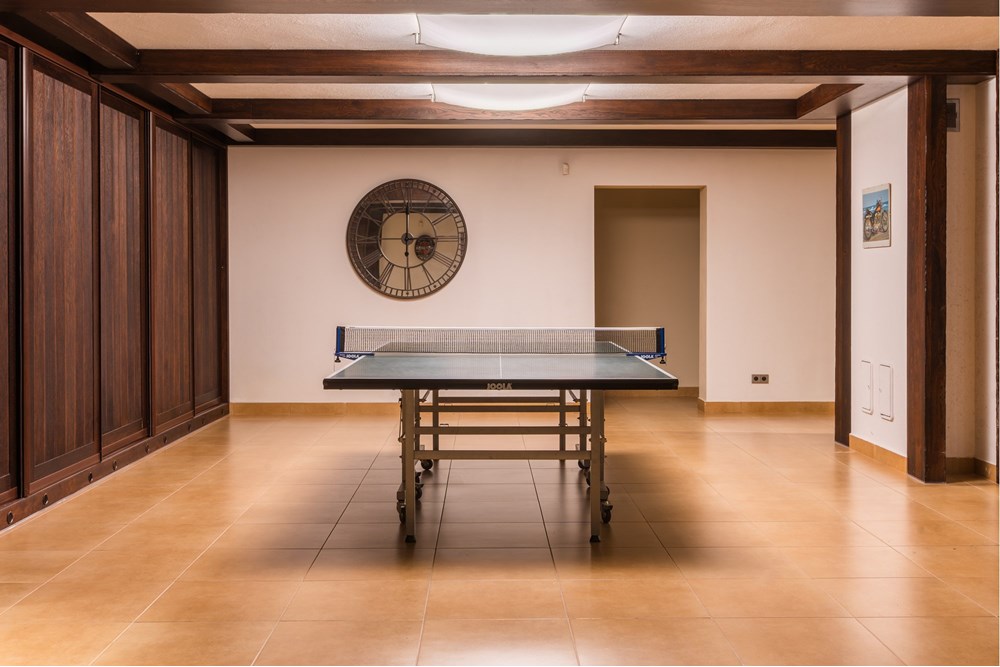 Rezydencja/Willa/Dworek - Sprzedaż - Srebrna Góra, Polska - 020 pokój klubowy 2.jpg - 800271021-13