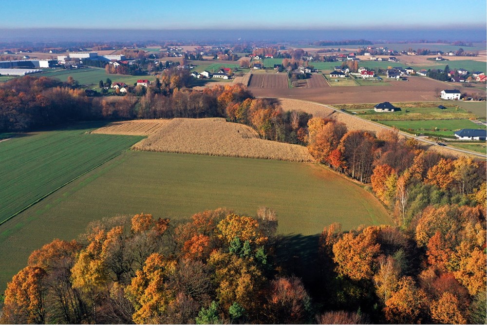 Działka - Sprzedaż - Witkowice, Polska - 26.JPG - 470131110-4