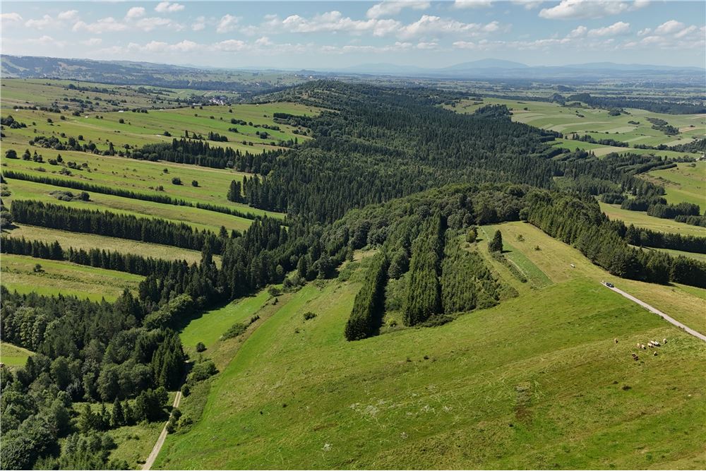 Działka budowlana - Sprzedaż - Dursztyn, Polska - 7 - 800091040-93