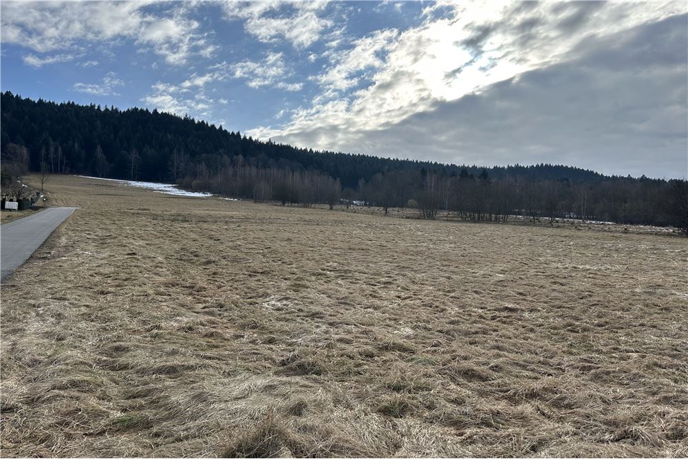 Działka budowlana - Sprzedaż - Las, Polska - 52 - 800061103-198