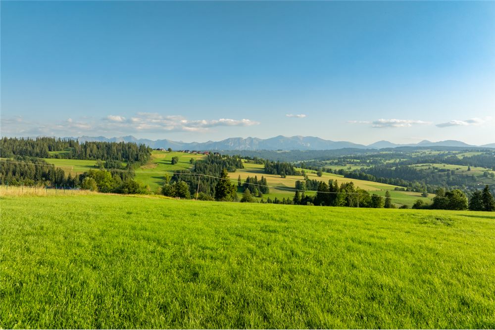 Dom wolnostojący - Sprzedaż - Czerwienne, Polska - 15 - 470151024-447