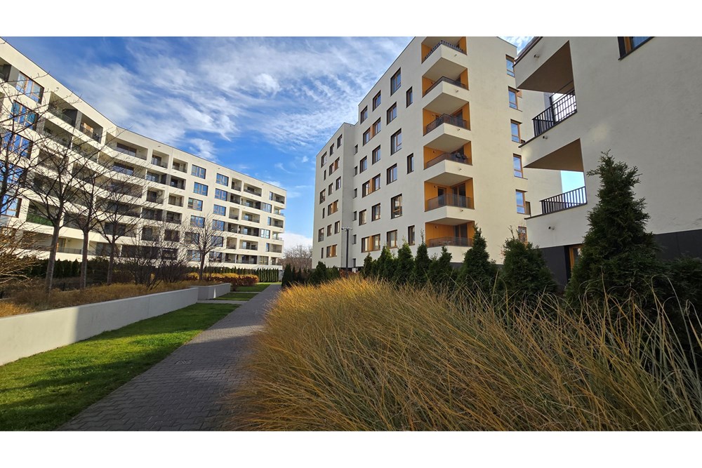 Mieszkanie - Wynajem - Warszawa, Polska - 19_20251120_111348.jpg - 810051053-4