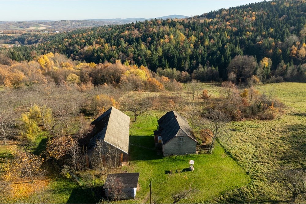 Dom wolnostojący - Sprzedaż - Krasne-Lasocice, Polska - 20251107-DJI_0622-HDR.jpg - 800241017-143
