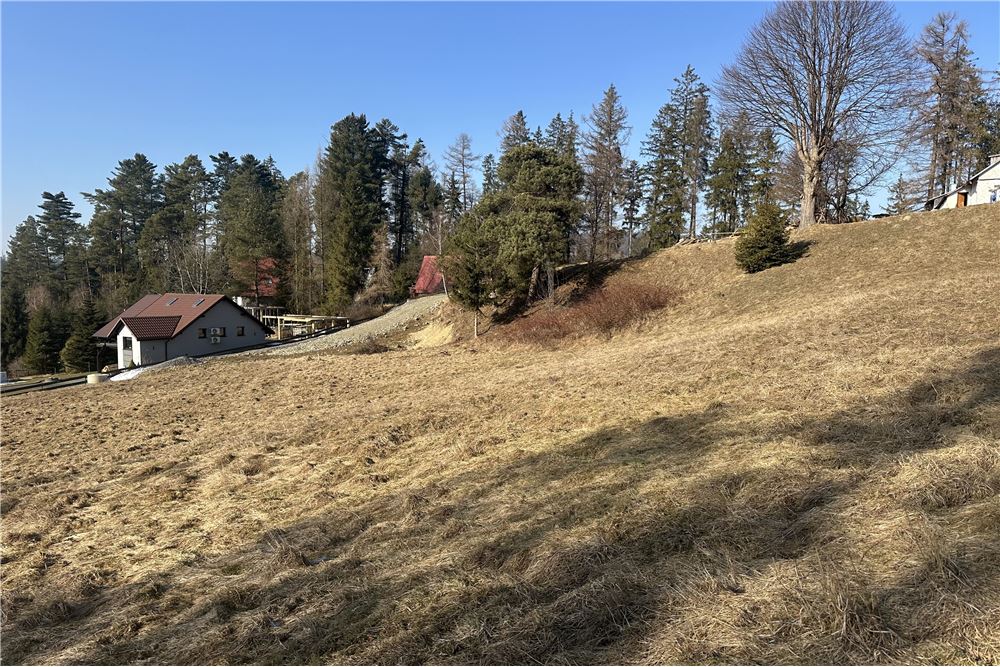 Działka budowlana - Sprzedaż - Sól-Kiczora, Polska - 64 - 800061103-162