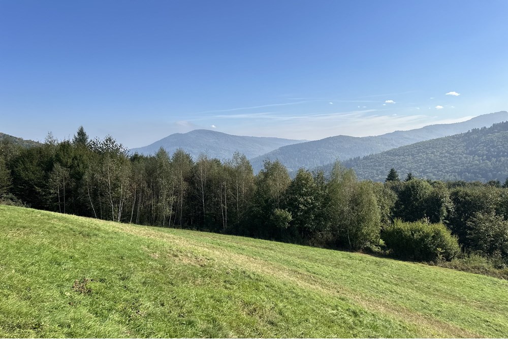 Działka budowlana - Sprzedaż - Międzybrodzie Bialskie, Polska - IMG_1832.jpg - 800061103-193