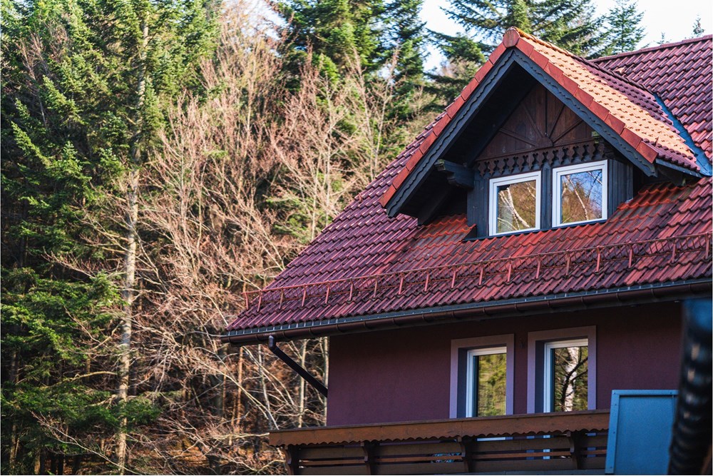 Sprzedaż firmy - Sprzedaż - Szczyrk, Polska - Hotel Szczyrk Damian-79.JPG - 800061126-16