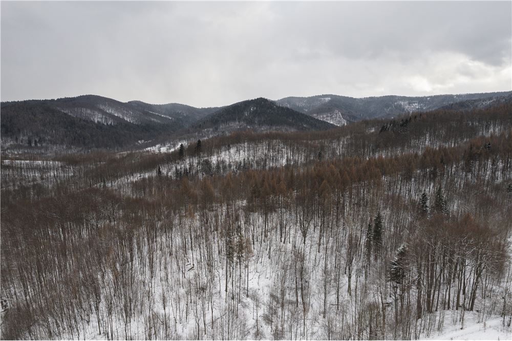 Rezydencja/Willa/Dworek - Sprzedaż - Ponikiew, Polska - 21 - 800061126-8