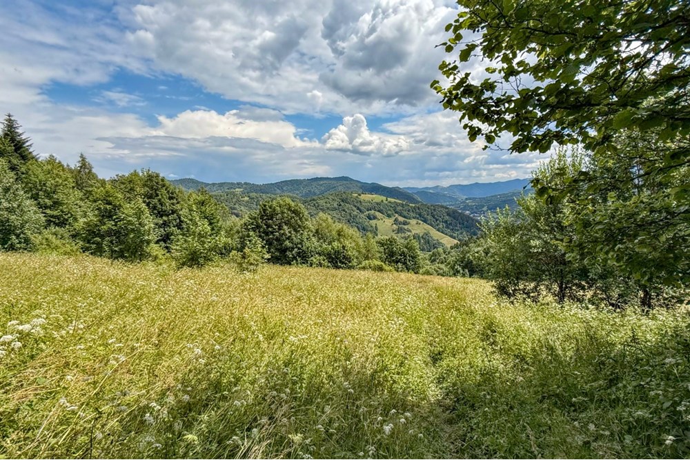 Nieruchomość gruntowa - Sprzedaż - Ochotnica Dolna, Polska - IMG_0136 2.jpg - 800091057-4