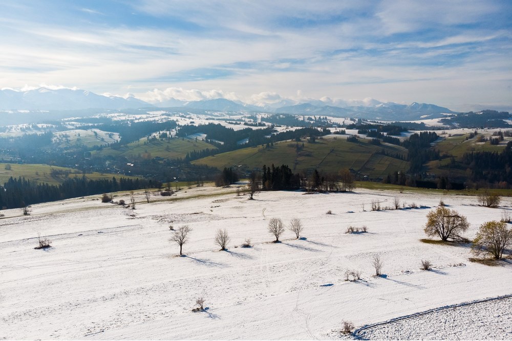 Działka - Sprzedaż - Ratułów, Polska - DJI_0410.jpg - 470151035-149