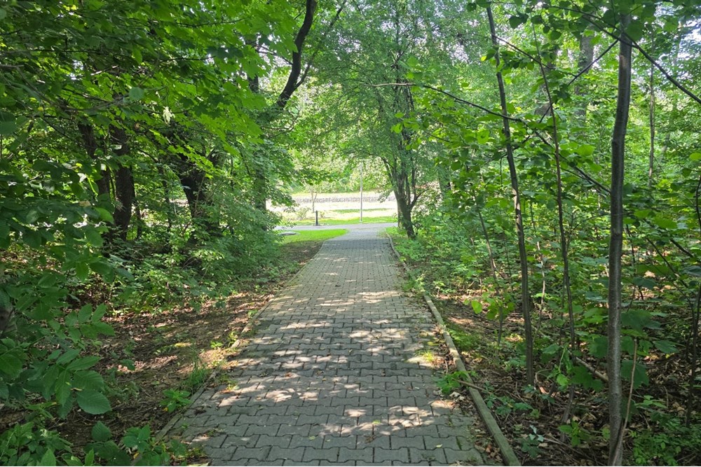 Mieszkanie na parterze - Sprzedaż - Bielsko-Biała, Polska - 35.jpg - 800061016-1271