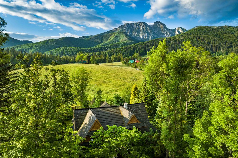 Dom wolnostojący - Sprzedaż - Zakopane, Polska - 11 - 800091040-89