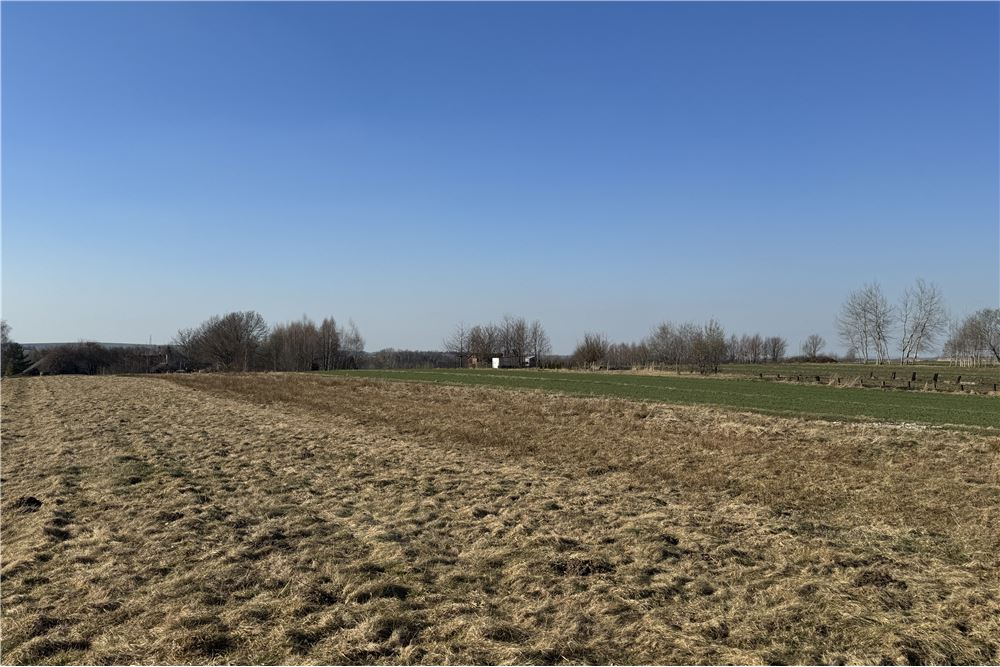 Działka - Sprzedaż - Chocznia, Polska - 6 - 800061100-79