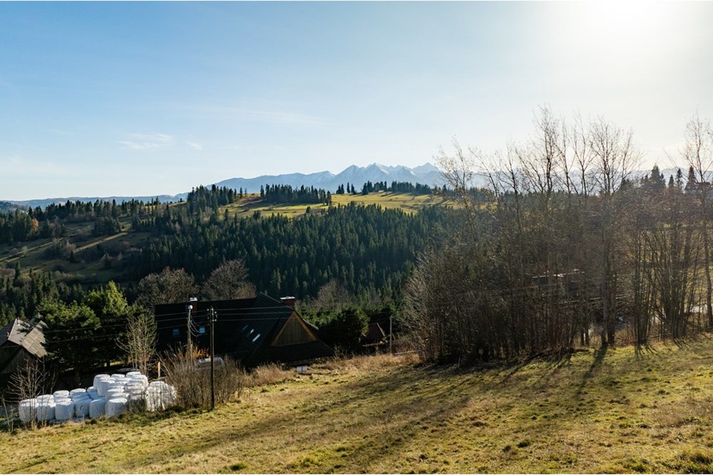 Działka - Sprzedaż - Rzepiska, Polska - 20251114-DJI_0863-HDR.jpg - 800091045-42