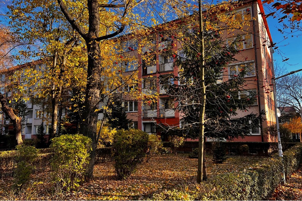 Mieszkanie - Sprzedaż - Bielsko-Biała, Polska - IMG_8794.jpeg - 800061117-38