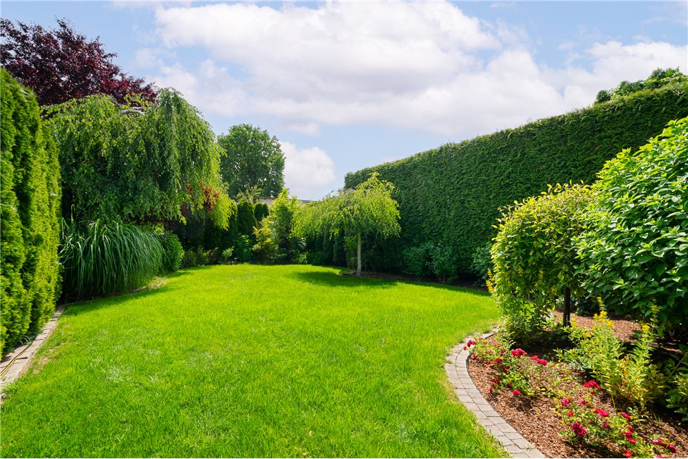 Dom bliźniak - Sprzedaż - Marki, Polska - 25 - 810131003-367