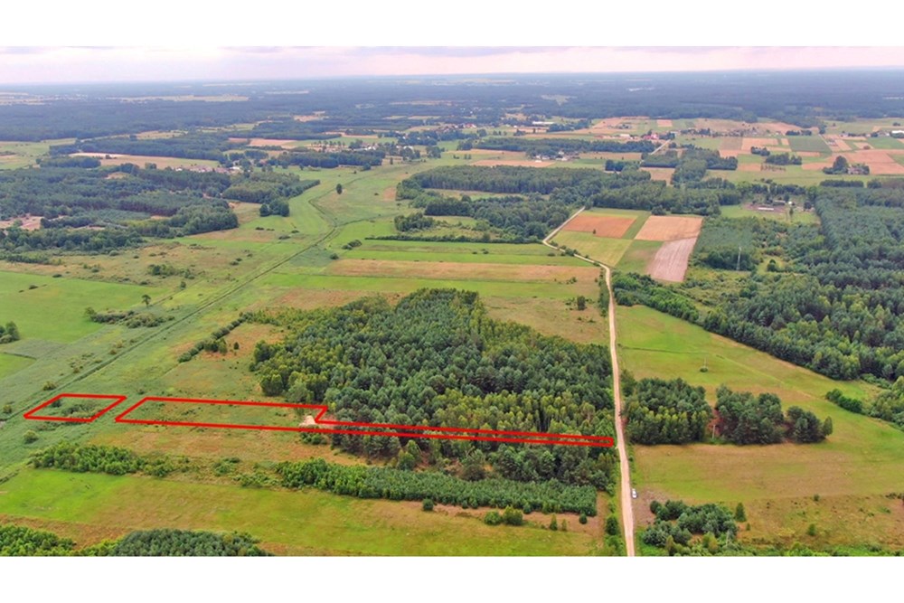 Nieruchomość gruntowa - Sprzedaż - Rudniki-Kolonia, Polska - Koniecpol (9).jpg - 800041074-18