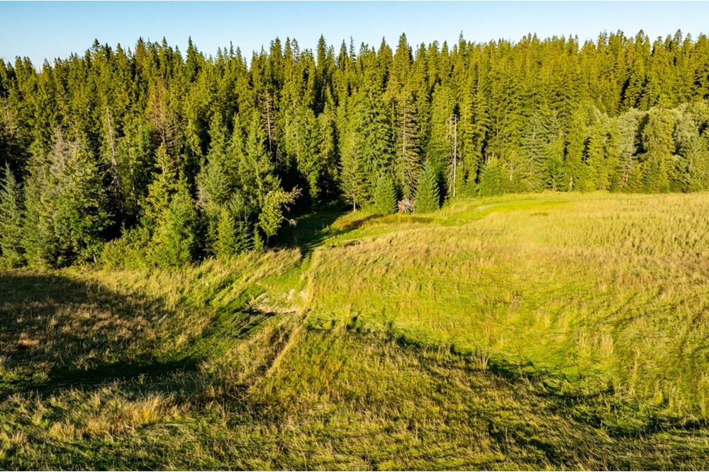 Działka - Sprzedaż - Zakopane, Polska - 20250826-DJI_0082-HDR.jpg - 470151024-450