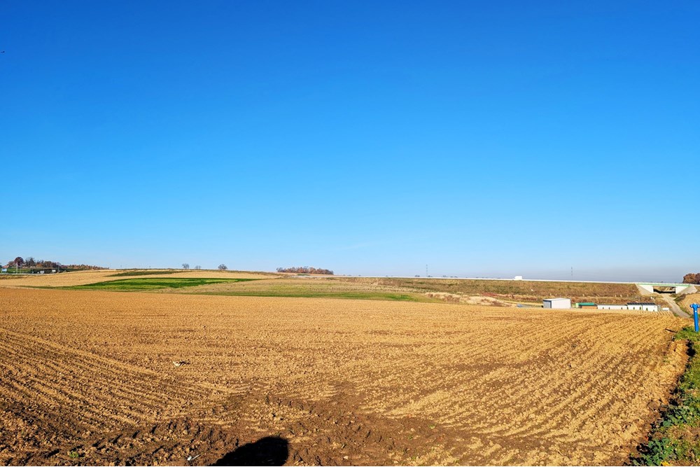 Nieruchomość inwestycyjna - Sprzedaż - Rudnik, Polska - 3199a5e8-10eb-4509-bb4f-6eee5576fcda.jpg - 470311007-9