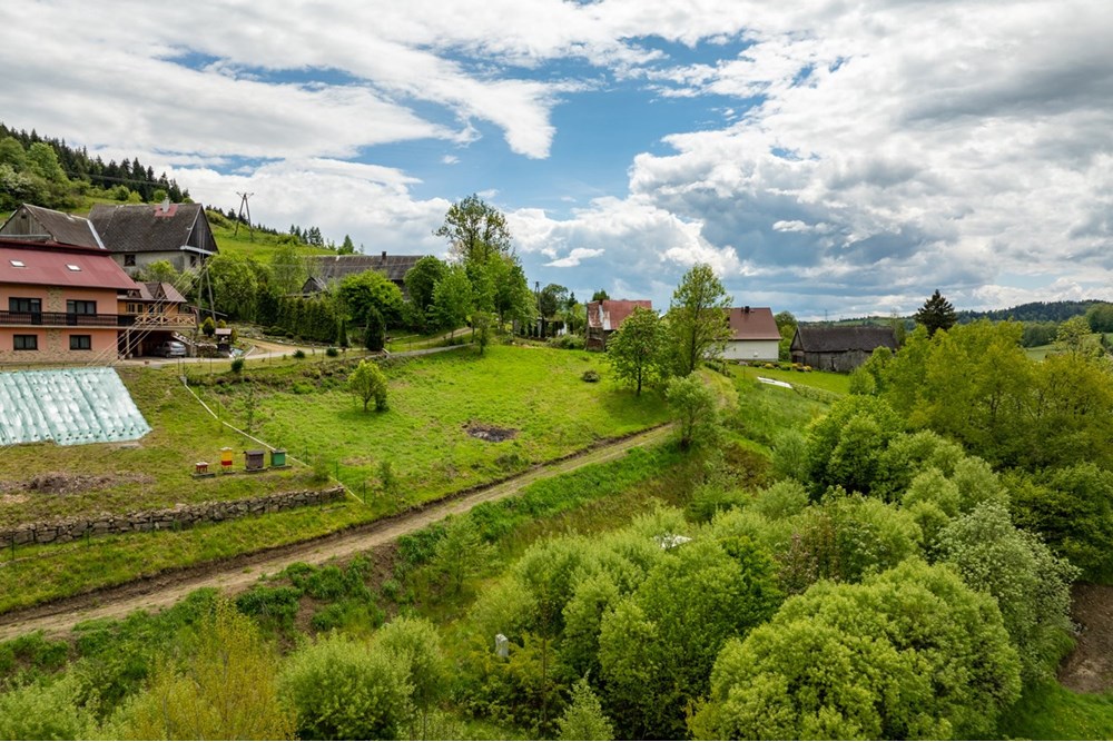 Działka budowlana - Sprzedaż - Łętownia, Polska - DJI_0896-HDR-8.jpg - 800091049-16