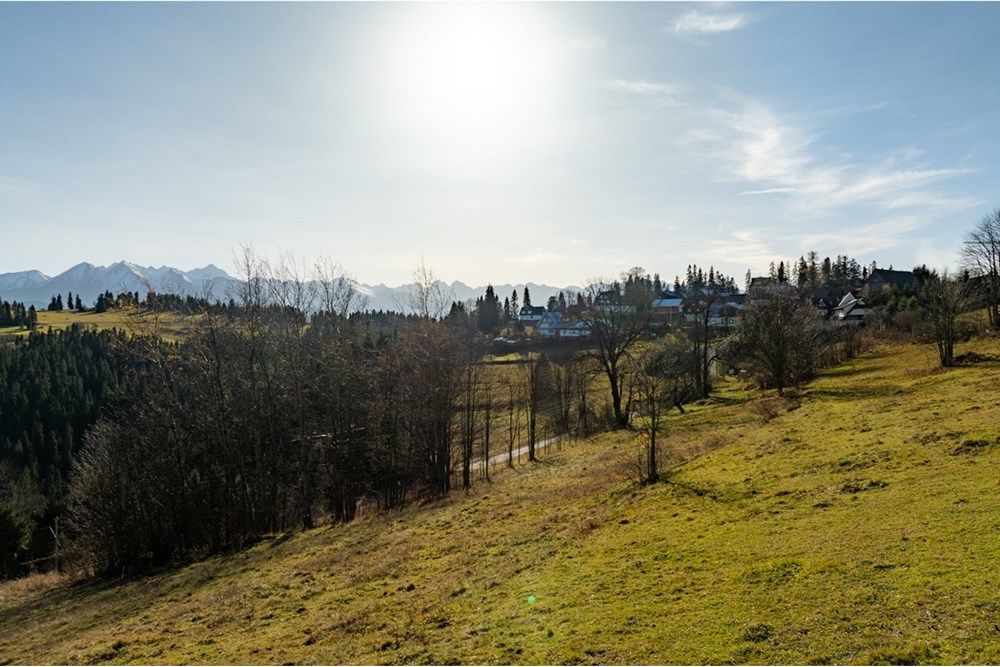 Działka - Sprzedaż - Rzepiska, Polska - 20251114-DJI_0860-HDR.jpg - 800091045-42