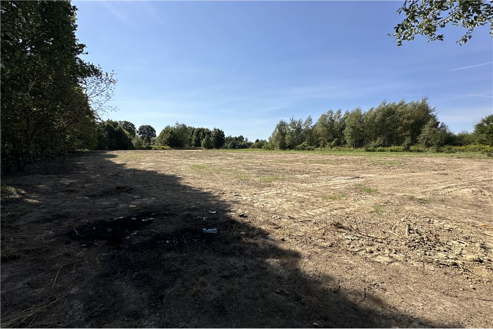 Działka - Sprzedaż - Jankowice, Polska - 28 - 800061103-174