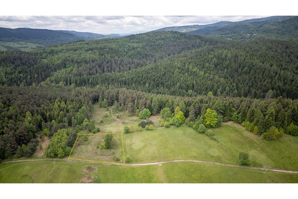 Działka - Sprzedaż - Krzeszów, Polska - Działka 149.000 1.jpg - 470131112-3