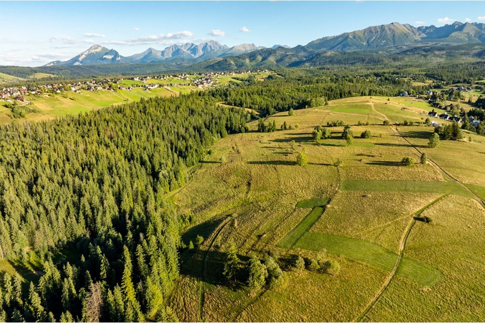 Działka - Sprzedaż - Zakopane, Polska - 20250826-DJI_0064-HDR.jpg - 470151024-449