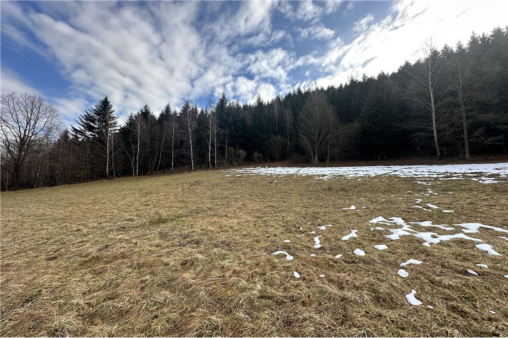 Działka budowlana - Sprzedaż - Las, Polska - 18 - 800061103-198