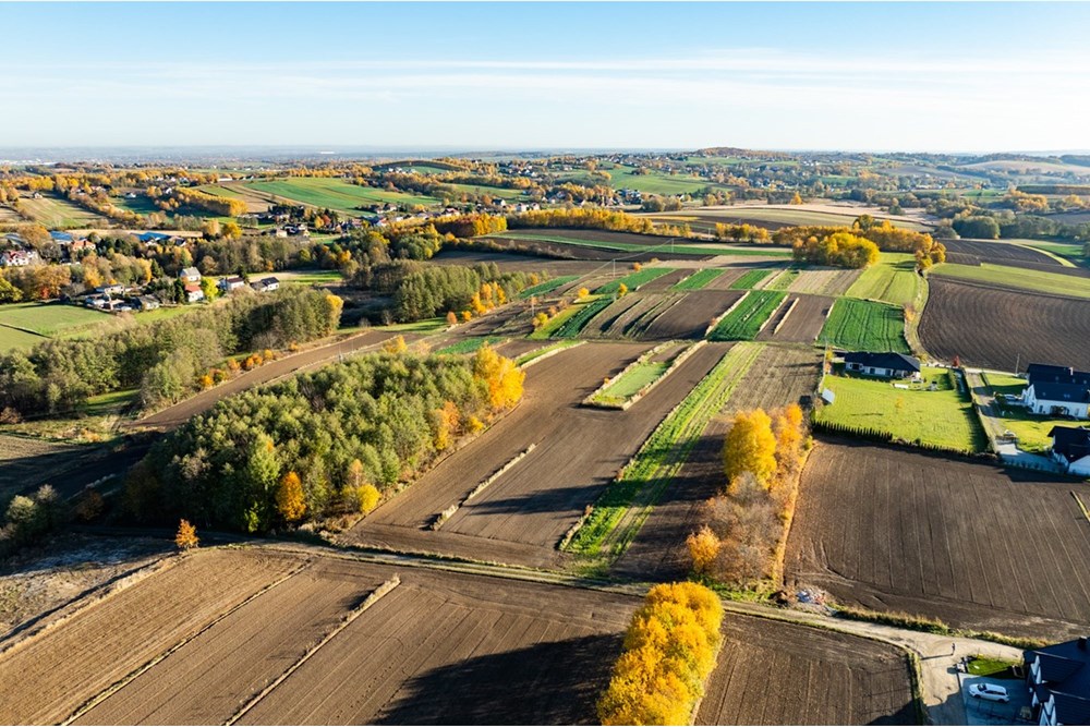 Działka budowlana - Sprzedaż - Trąbki, Polska - 20251031-DJI_0962-HDR.jpg - 800241005-219