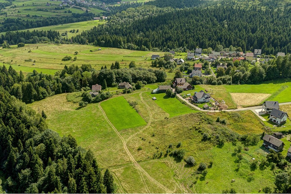 Działka - Sprzedaż - Krośnica, Polska - 0012_pajerski-dzialka-krosnica.jpg - 470131113-349