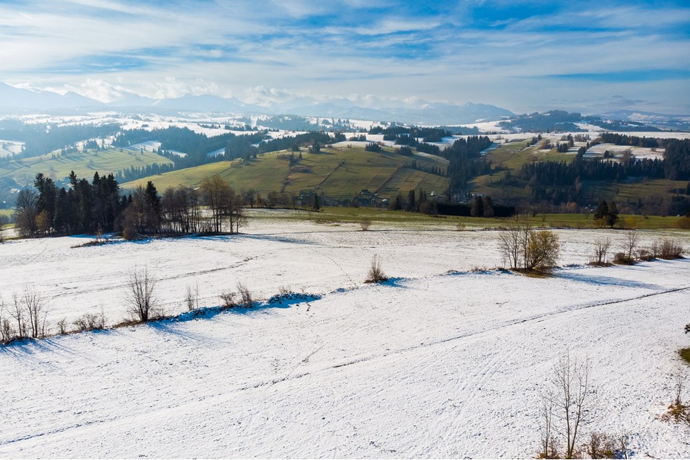 Działka - Sprzedaż - Ratułów, Polska - DJI_0439.jpg - 470151035-149