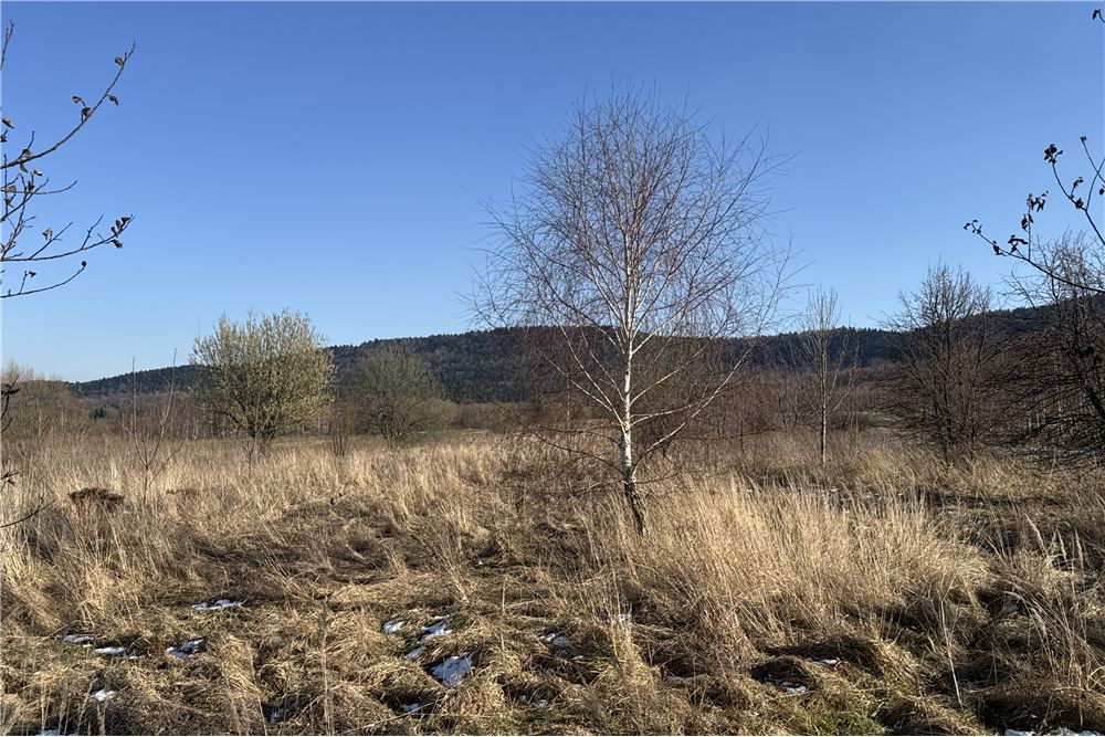 Działka - Sprzedaż - Chocznia, Polska - 8 - 800061100-79