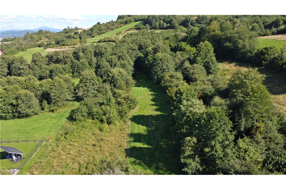 Działka - Sprzedaż - Radziechowy, Polska - 17 - 800061039-516