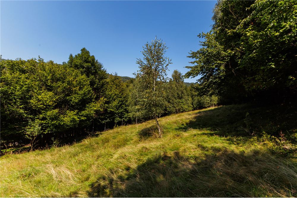 Działka - Sprzedaż - Międzybrodzie Żywieckie, Polska - 9 - 800061107-105