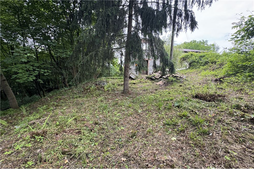 Działka budowlana - Sprzedaż - Chocznia, Polska - 11 - 800061100-85