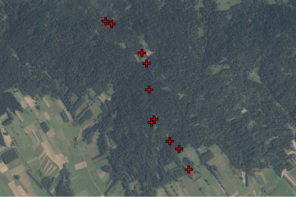 Działka - Sprzedaż - Podwilk, Polska - 123.jpg - 800091045-35