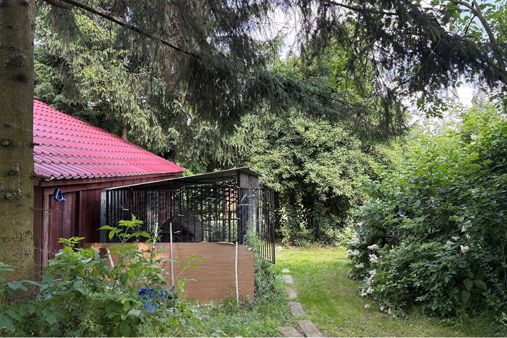 Dom jednorodzinny - Sprzedaż - Cieszyn, Polska - IMG_0241.jpeg - 800061121-13