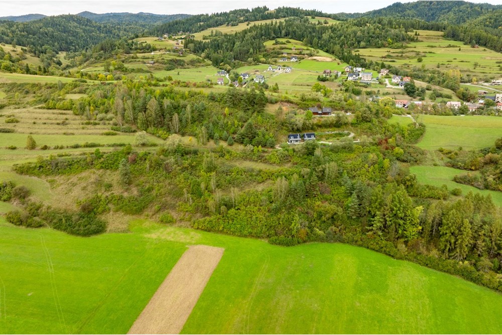 Działka - Sprzedaż - Knurów, Polska - 20250927-DJI_0773-HDR.jpg - 470151024-457