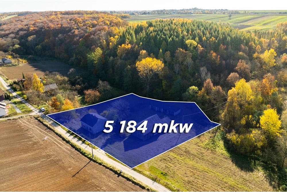 Dom wolnostojący - Sprzedaż - Stoki, Polska - 20251031-DJI_0053-HDR.jpg - 800241032-78