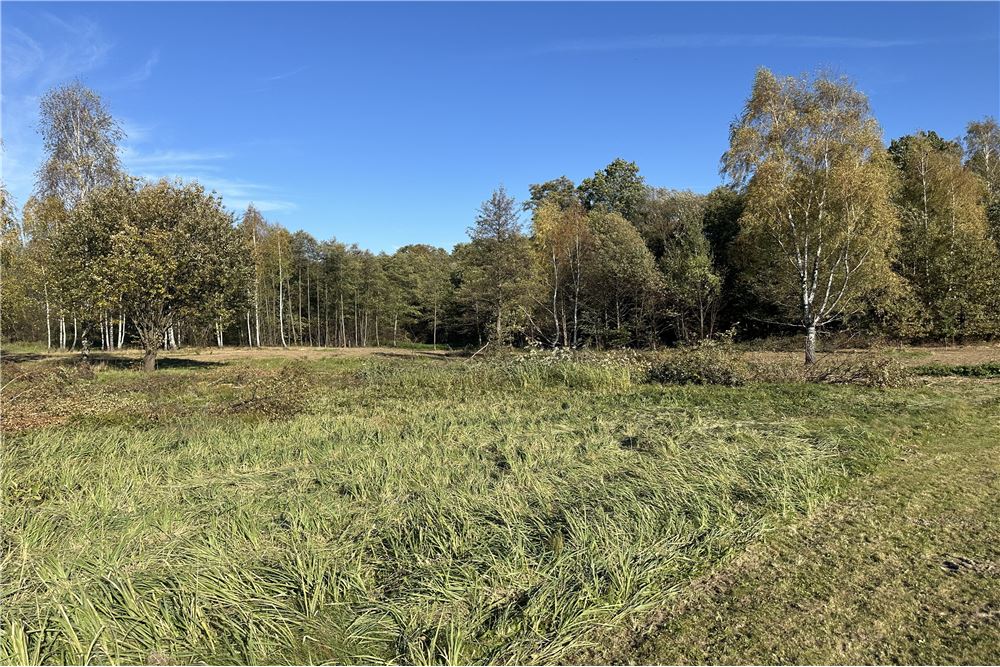 Działka budowlana - Sprzedaż - Jasienica, Polska - 5 - 800061103-173