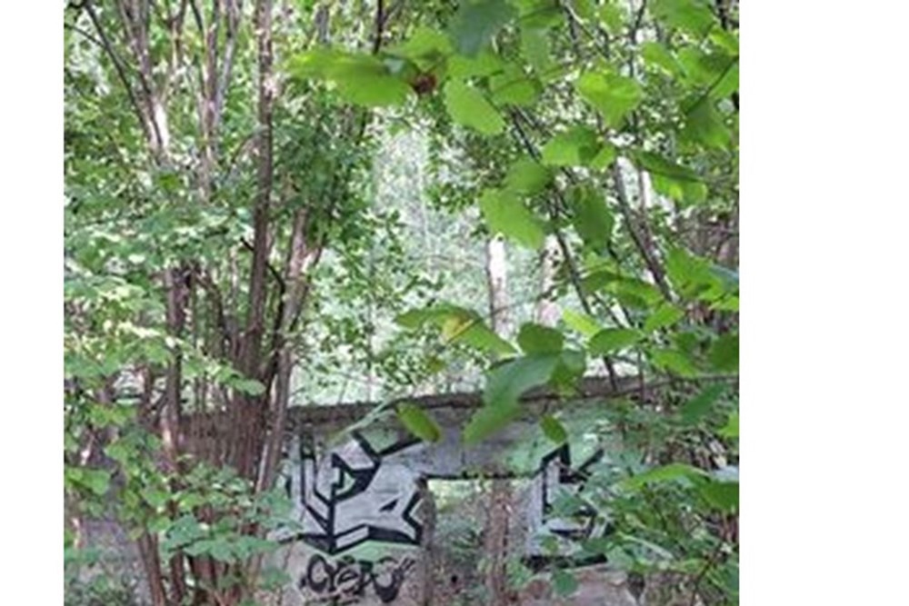 Działka - Sprzedaż - Kęty, Polska - kety rzeka 4.jpg - 470131109-33