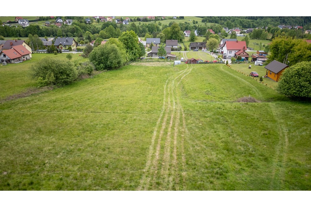 Działka - Sprzedaż - Krzeszów, Polska - DJI_0397.jpg - 470131112-7